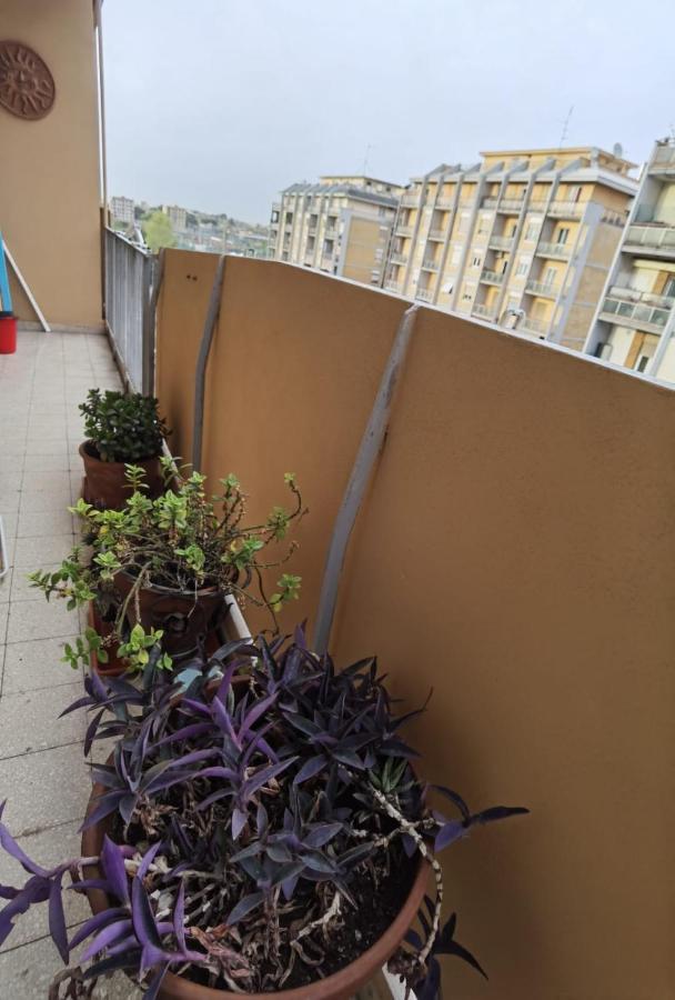 Apartment Per Turisti E Famiglie Rom